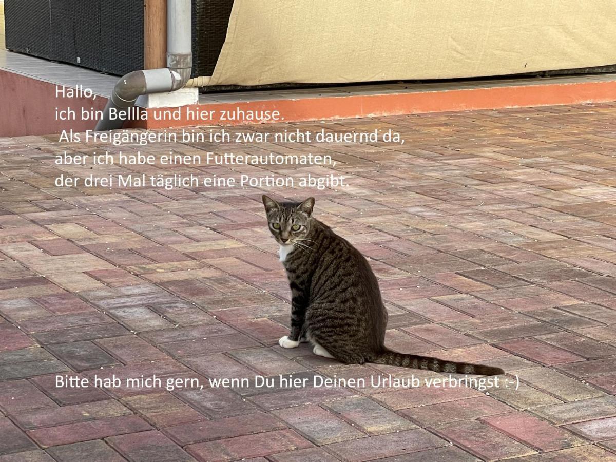 Finisterre Curacao Villa Westpunt Kültér fotó