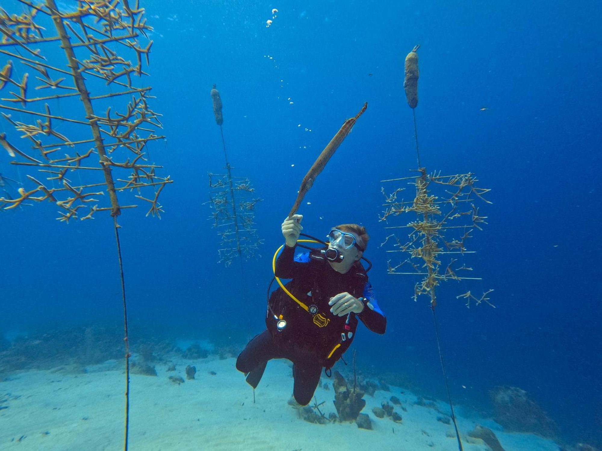 Finisterre Curacao Villa Westpunt Kültér fotó